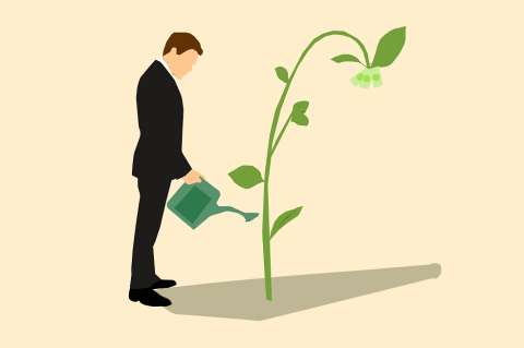 Invertir en finca raíz, una alternativa para ganar dinero en 2018