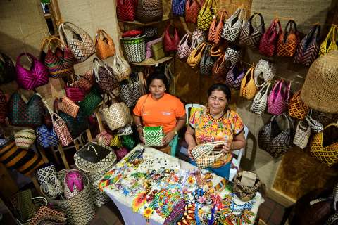 Así es la vitrina más grande de negocios verdes en Colombia