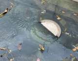 Aguas residuales en las calles de Santa Marta: una crisis que parece no tener fin