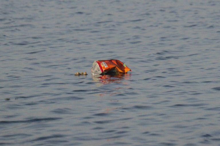 Peces de manglares colombianos, contaminados por microplásticos
