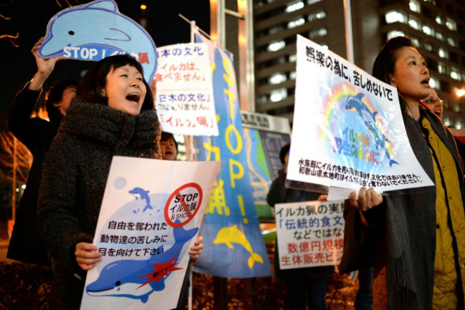 Miembros del grupo anti-caza de delfines sostienen pancartas y gritan consignas en frente de la Agencia de Pesca de Japón en Tokio para instar al gobierno japonés a prohibir la captura de delfines. 
