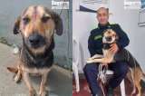 Luna, la perra que pasó de vivir debajo de un puente a formar parte de la Policía