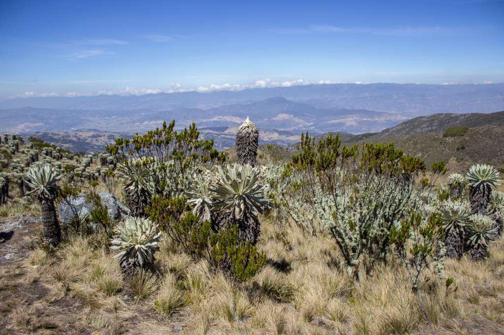 Choachí, en Cundinamarca, fue elegido por la OMT como uno de los mejores pueblos de 2022.