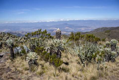 Estabilizar el turismo: el objetivo del municipio de Choachí, Cundinamarca
