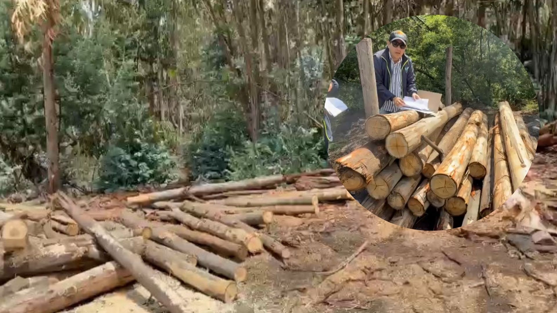 Se cometían dos infracciones ambientales, producción de carbón vegetal y aprovechamiento forestal sin permiso ambiental.