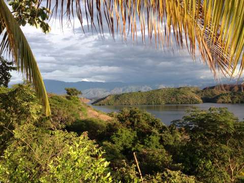¿Por qué se están muriendo los peces en la represa de Betania, Huila?