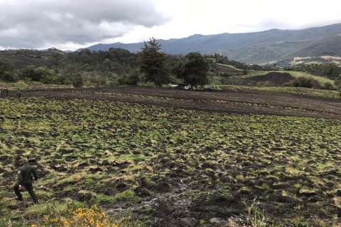 CAR sancionará a dueños de cuatro predios que realizaban actividades agropecuarias en Chingaza