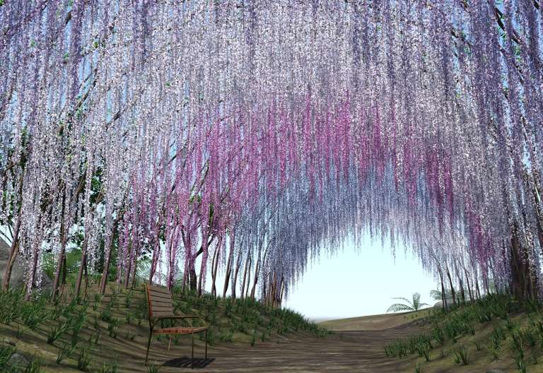 Desde espectáculos florales como los túneles de glicinas en Kawachi Fuji hasta los paisajes históricos de Hama-rikyu o los delicados arreglos del Jardín Kiyosumi, estos espacios no solo ofrecen belleza visual