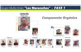 “Los Maracuchos” la otra banda responsable de crímenes sistemáticos en Bogotá