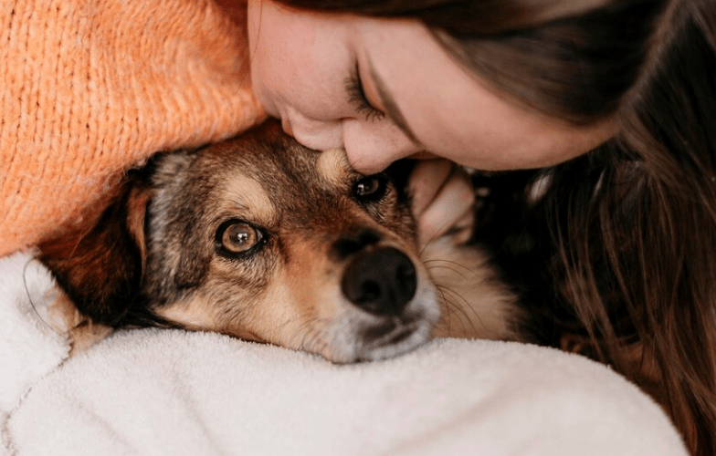 El cariño que sienta una mascota hacia usted, irá apareciendo al protegerlo y darle amor.