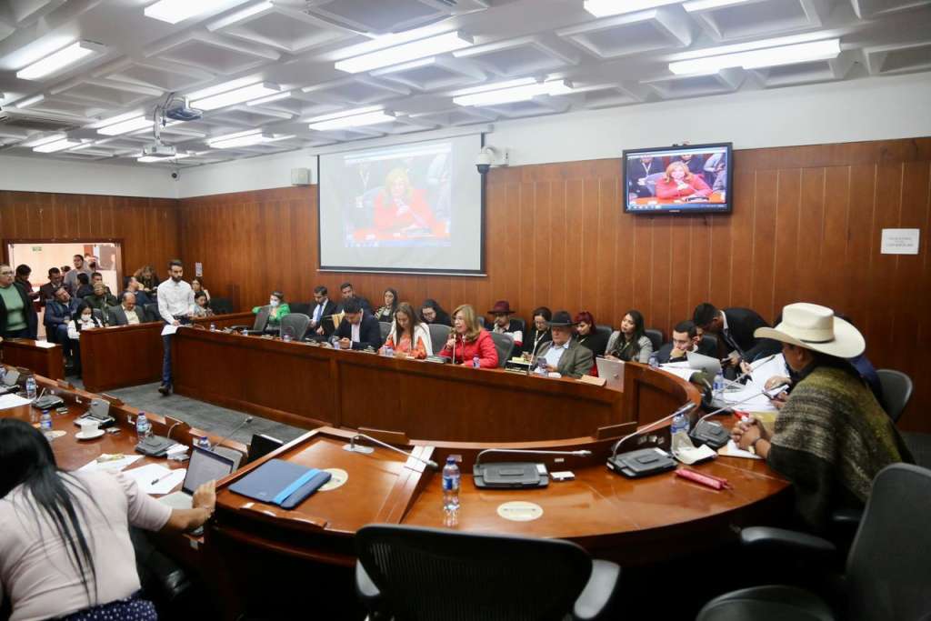 En la sesión se aplazó la discusión en primer debate, del proyecto que promueve la protección de la maternidad y la primera infancia.