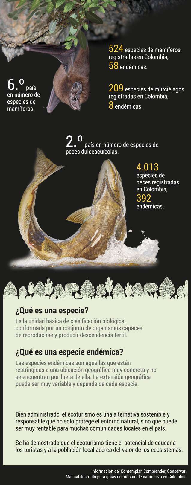 Colombia, destino ecoturístico por naturaleza.