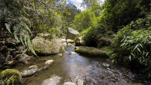 La Laguna Encantada de Subachoque: una caminata única a 90 minutos de Bogotá