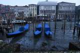Venecia: góndolas varadas y peces muertos por la marea baja en los canales
