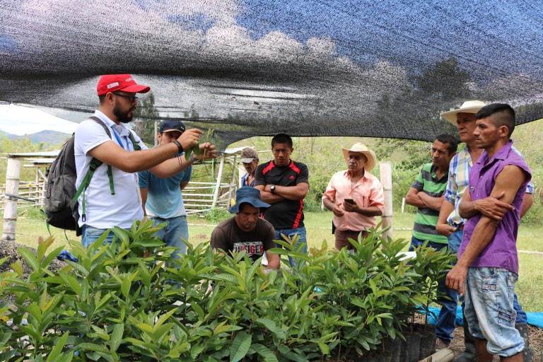 ¿Qué retos tiene el agro y qué papel jugará la ciencia en el próximo cuatrienio en Colombia?