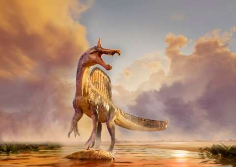 En un área remota del Sahara, científicos descubren un “asombroso” dinosaurio