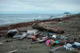 En Colombia, 31.000 toneladas de plástico contaminan los ecosistemas acuáticos cada año