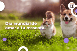 Día Mundial de Amar a tu mascota: ¿de dónde surgió esta celebración?