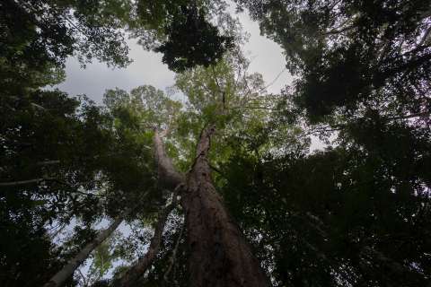 Colombia es anfitrión de la COP16: ¿Qué implica y cómo podemos sacarle provecho?