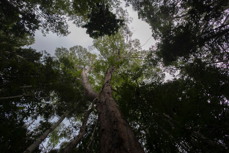 Colombia es anfitrión de la COP16: ¿Qué implica y cómo podemos sacarle provecho?
