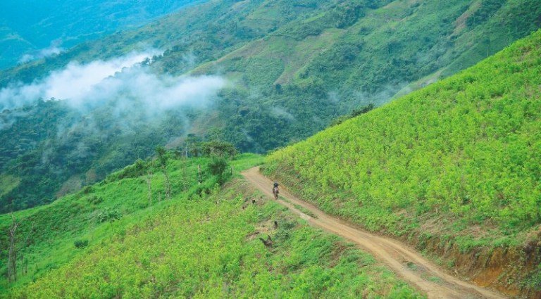 Los vaivenes de la violencia en el Bajo Cauca antioqueño