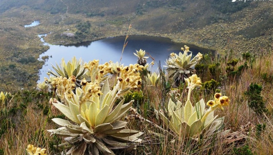 El pueblo conocido como “campo pelado” en Colombia: ¿qué visitar y cómo llegar?