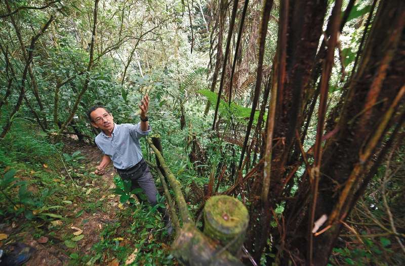 Germán Galindo recorriendo los 10 km de sendero de la reserva. / Jose Vargas