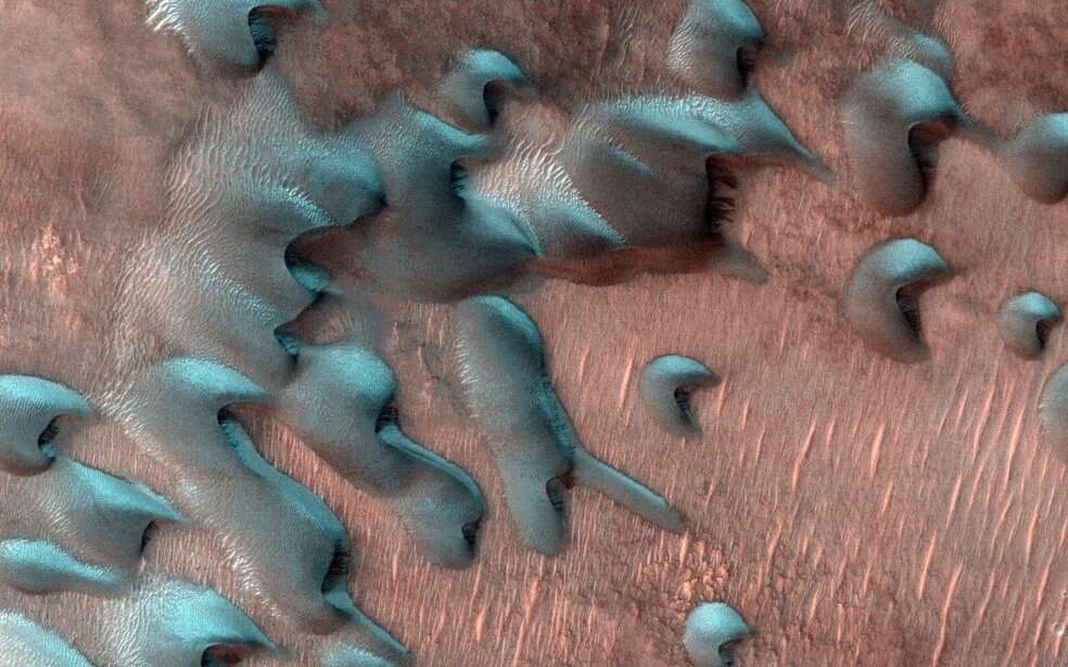 .Imagen del Mars Reconnaissance Orbiter de la NASA muestra dunas de arena moviéndose por Marte. La escarcha invernal cubre la mitad más fría, orientada al norte, de cada duna.