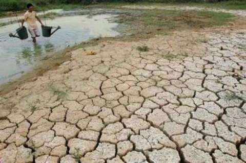 Gobierno no descarta importar alimentos en primeros meses de 2013