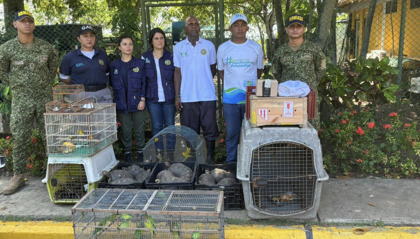 Autoridades colombianas rescatando animales.