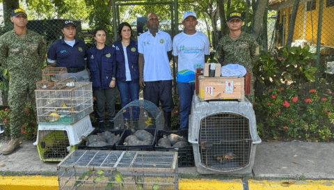 Recuperaron animales silvestres extraídos de sus hábitats: iban a ser vendidos ilegalmente