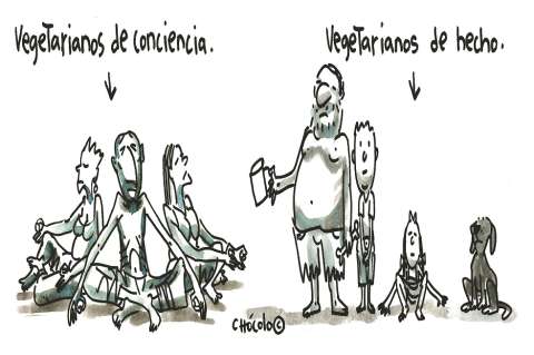 Chócolo