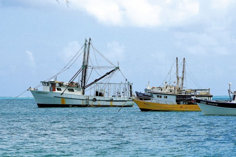 El limbo de los pescadores industriales