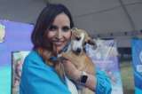 Clara Sandoval: de Protección Animal a campaña de Miguel Uribe