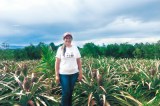 Finanzas rurales para la construcción de paz
