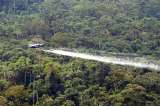 Cultivos de coca acaban con 111 hectáreas de bosque al día