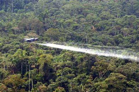 Cultivos de coca acaban con 111 hectáreas de bosque al día
