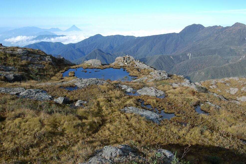 PNN Farallones de Cali - Laguna Pico Pance / Roger Franco Molina Paramo - PNN