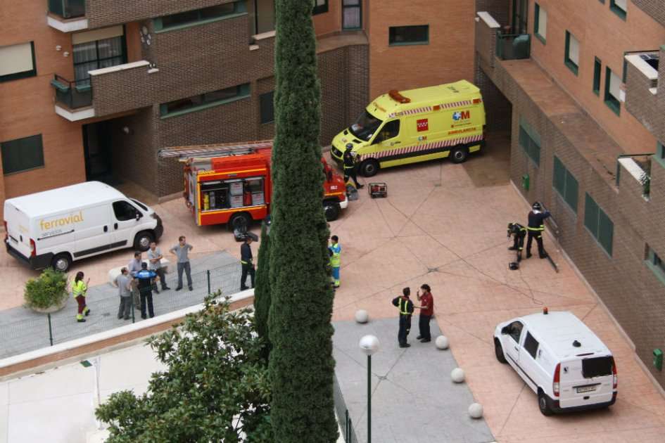 Las autoridades sanitarias llegaron hasta la vivienda de la auxiliar de enfermería para trasladar a la mascota ante el riesgo de que también sea portador de la enfermedad.