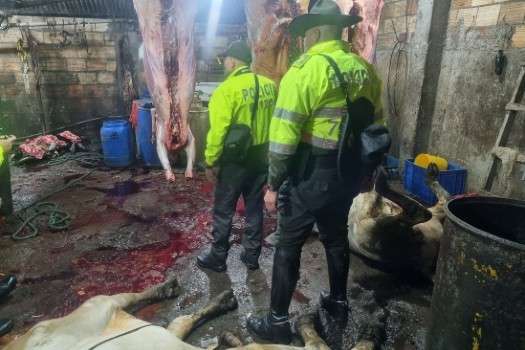 El matadero ilegal, operado por el grupo delincuencial Los Locos, operaba en zona rural de la localidad de Usme.