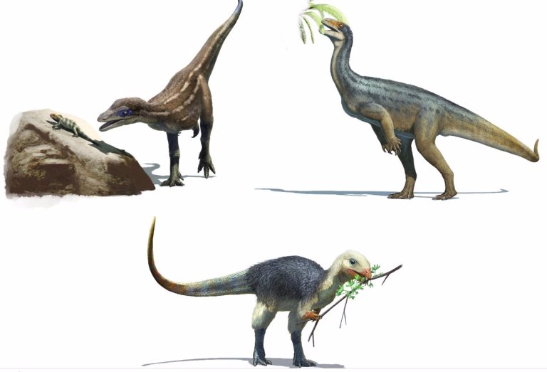 Algunos dinosaurios evolucionaron para hacerse vegetarianos, según estudio