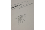 Los dibujos de tortugas de unos estudiantes para ganar puntos extras en un examen