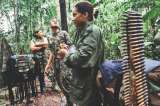 Congreso, a tomar decisiones concretas sobre zonas de ubicación de guerrilla
