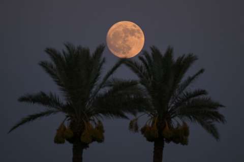 Luna llena de Ciervo 2026: cuándo será y cómo podrá verla