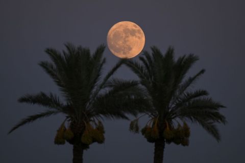 Luna llena de Ciervo 2026: cuándo será y cómo podrá verla