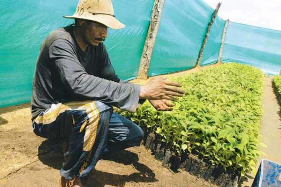 La pobreza en el campo sigue siendo alta afectando al 44,7% de los campesinos.
