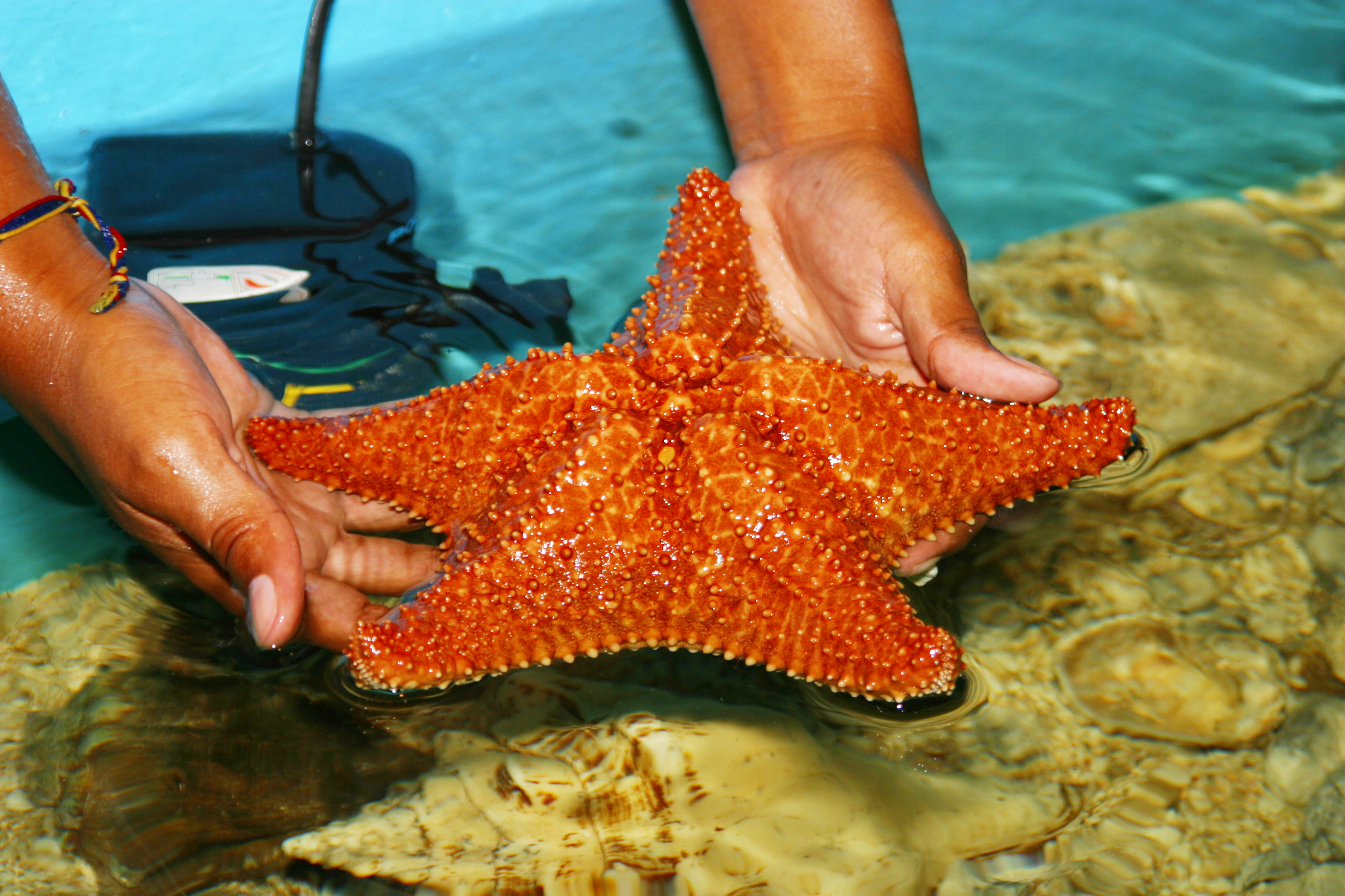 Acuario - Santa Marta