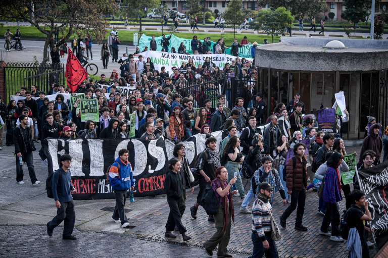 Desde hace varios meses, quienes participaron en la designación del rector de la Universidad Nacional, a mediados del 2024, tenían los ojos puestos en el Consejo de Estado.