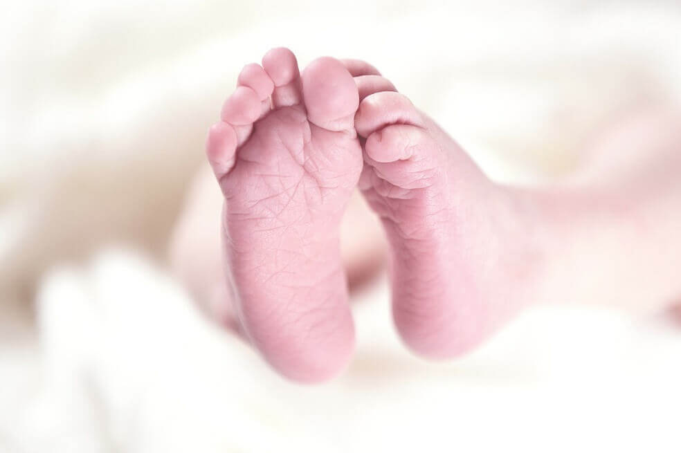 Corte Constitucional estableció que la fertilización in vitro deber ser asumida por las EPS en caso de que los pacientes no tengan recursos para su realización.  / Pixabay