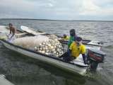 Robo a 25 pescadores evidencia el poder de los grupos armados en la Ciénaga Grande